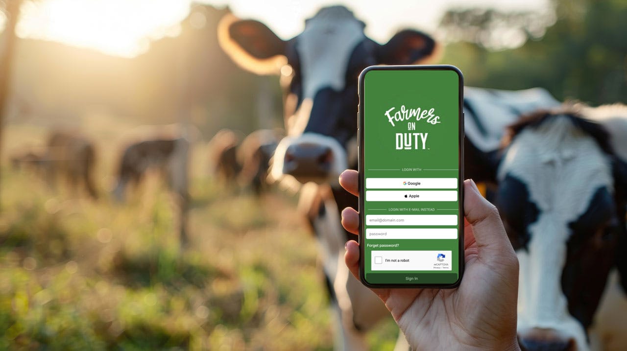 A cow and a phone running the app